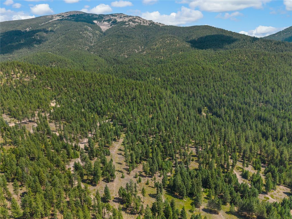 Image 1 of property listing at NHN Lot 16A Corona Court, Plains, MT 59859