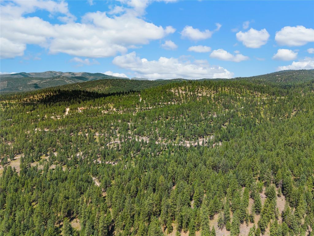 Image 3 of property listing at NHN Lot 16A Corona Court, Plains, MT 59859