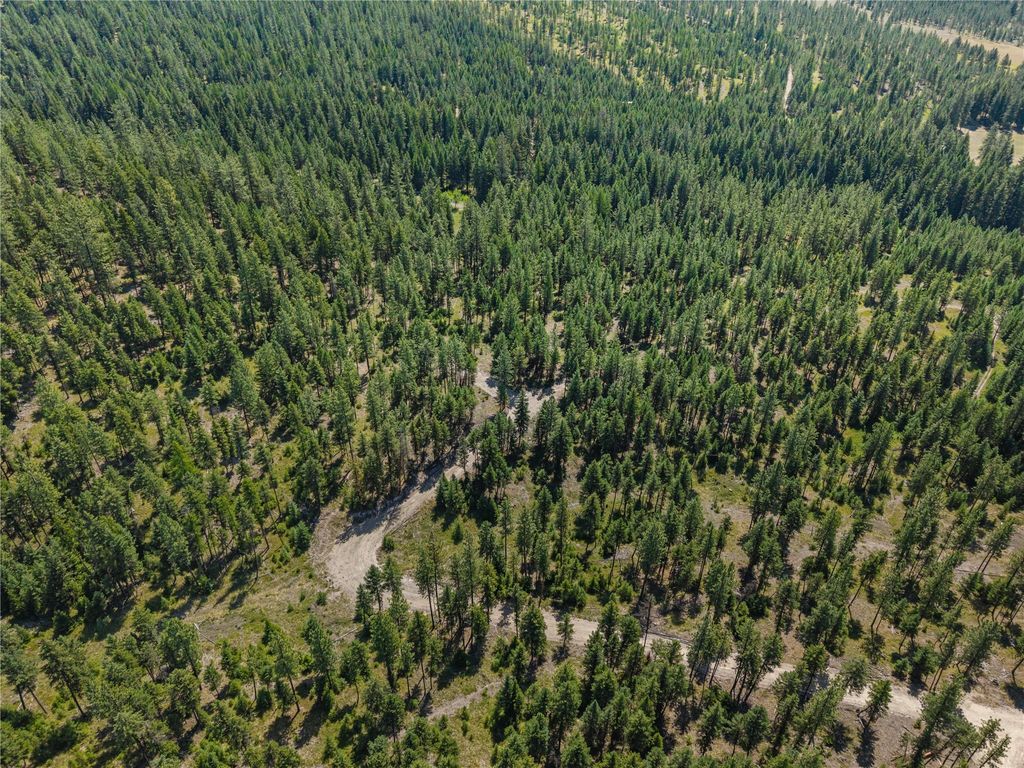 Image 6 of property listing at NHN Lot 16A Corona Court, Plains, MT 59859