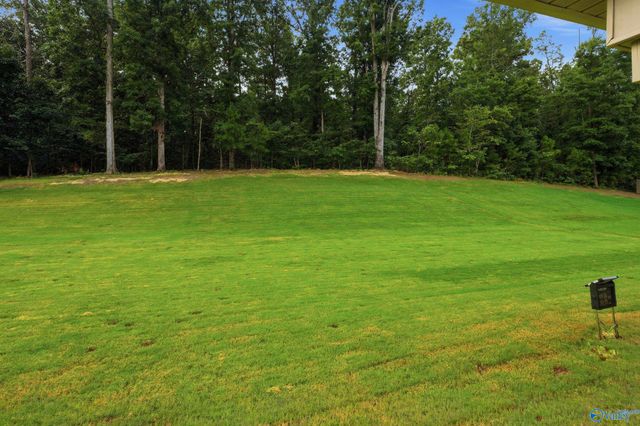 266 Ashland Drive SW, Hanceville, AL 35077