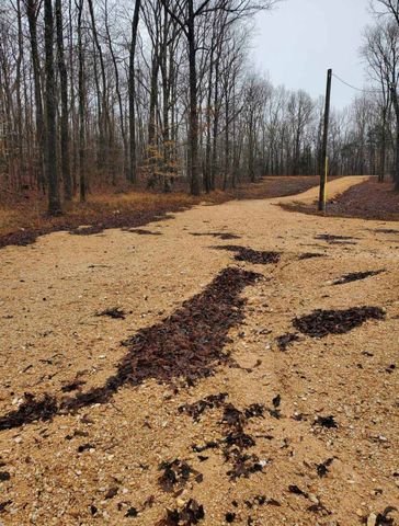 954 Stokes Ln, Bath Springs, TN 38311