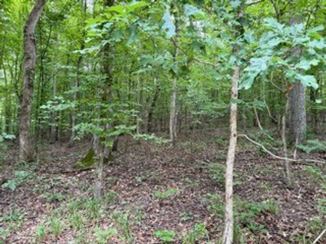 954 Stokes Ln, Bath Springs, TN 38311