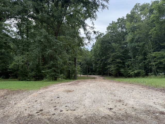 954 Stokes Ln, Bath Springs, TN 38311