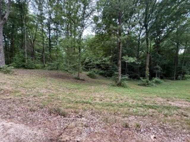 954 Stokes Ln, Bath Springs, TN 38311