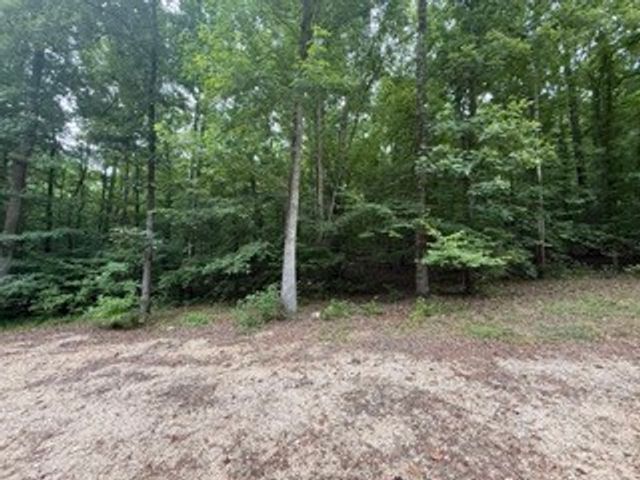 954 Stokes Ln, Bath Springs, TN 38311