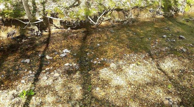 954 Stokes Ln, Bath Springs, TN 38311