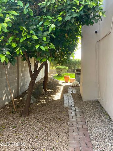 4531 E RAMUDA Drive, Phoenix, AZ 85050