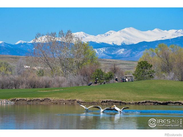 2000 Bayfront Drive, Windsor, CO 80550