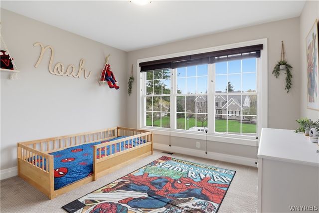 17 Woodthrush, Orchard Park, NY 14127