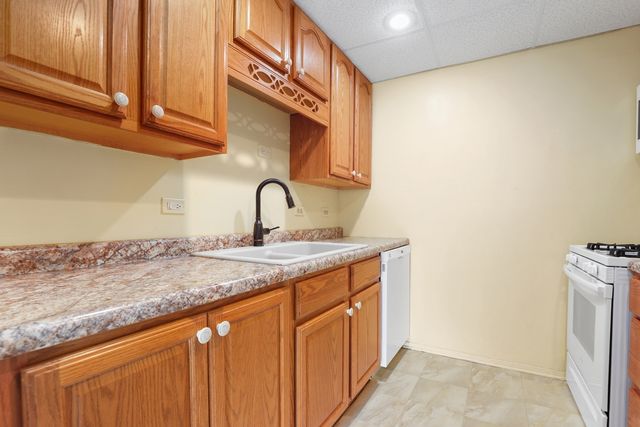 1133 Royal St George Drive 102, Naperville, IL 60563