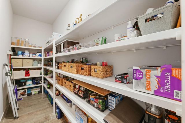 8684 SANDERS TREE LOOP, Wesley Chapel, FL 33545