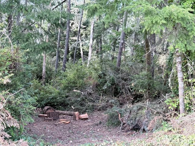 0 U Street, Ocean Park, WA 98640