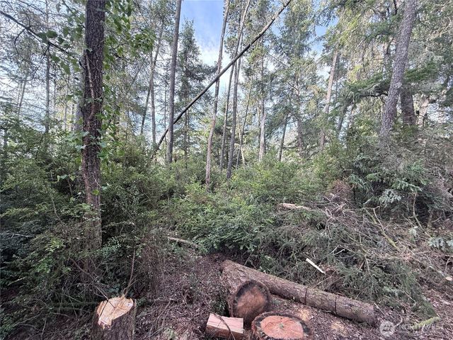 0 U Street, Ocean Park, WA 98640