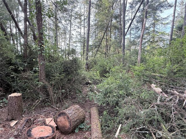 0 U Street, Ocean Park, WA 98640