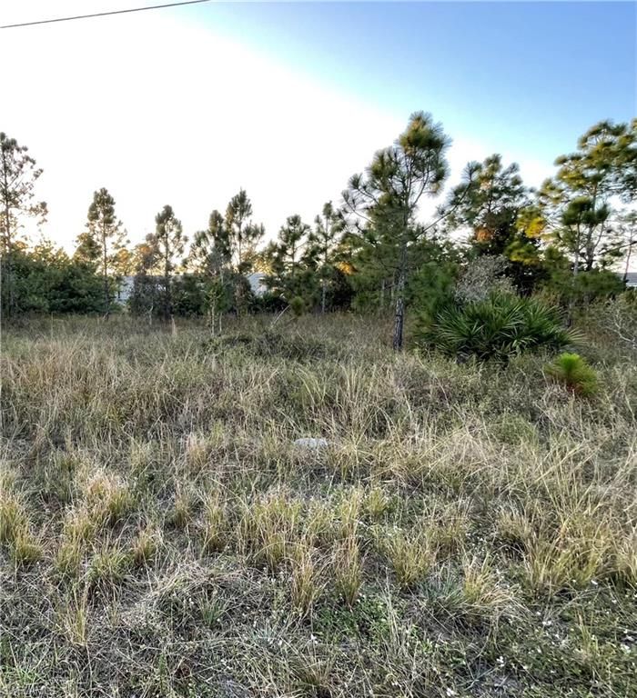 916-918 Countess AVE, LEHIGH ACRES, FL 33974 — exterior