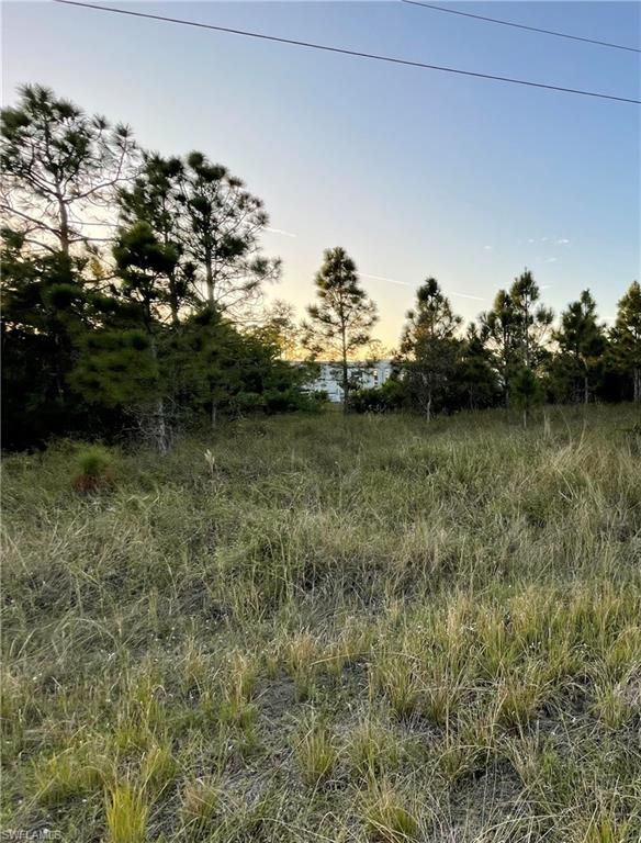 916-918 Countess AVE, LEHIGH ACRES, FL 33974 — photo 2