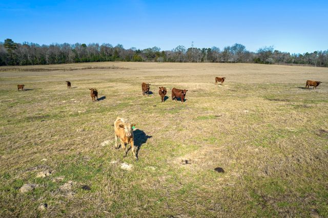 TBD Hwy 338, Naples, TX 75568