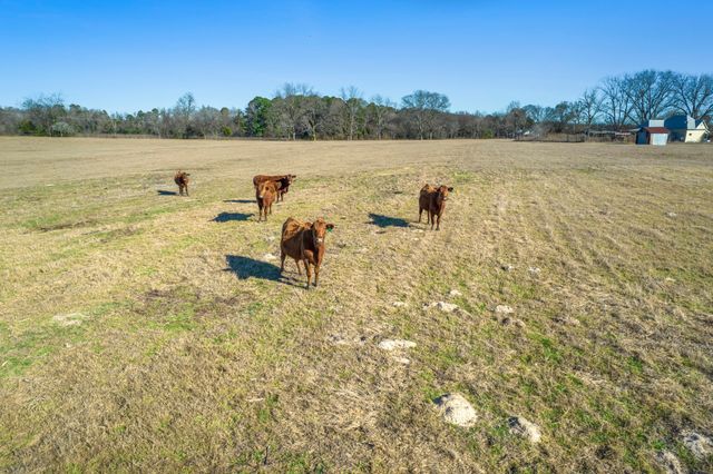 TBD Hwy 338, Naples, TX 75568