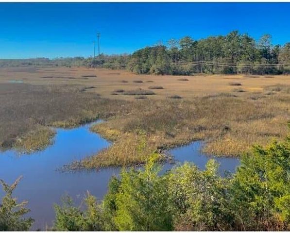 603 Mclernon Trace, Johns Island, SC 29455