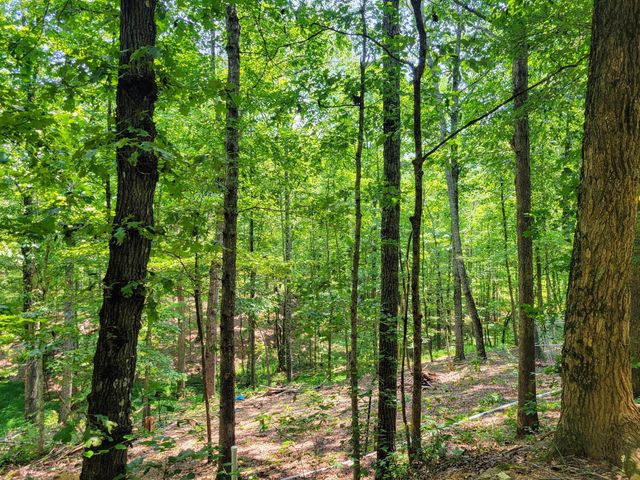 235 Awanita Drive, South Pittsburg, TN 37380