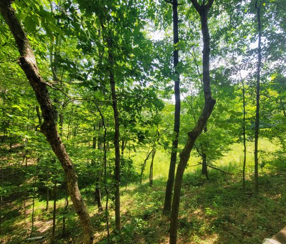 235 Awanita Drive, South Pittsburg, TN 37380