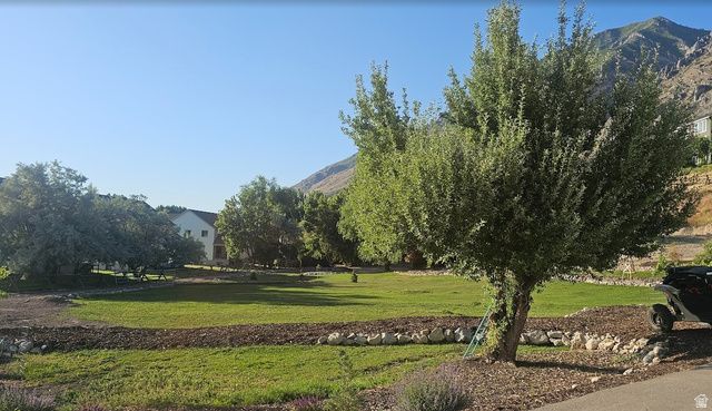 711 E 400 N, Springville, UT 84663