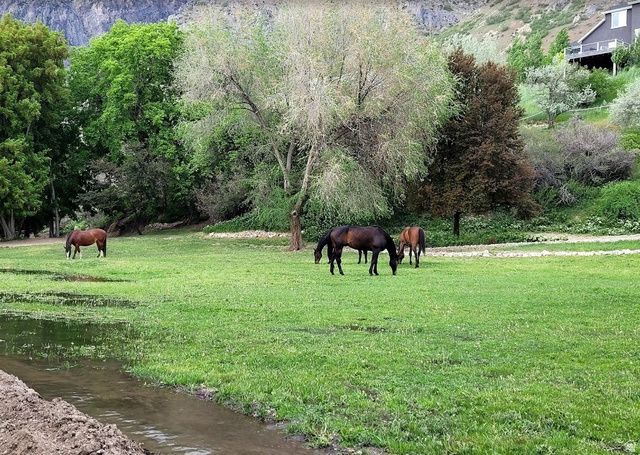 711 E 400 N, Springville, UT 84663