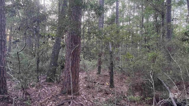 00 Highway 188, Mobile, AL 36523