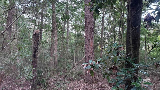 00 Highway 188, Mobile, AL 36523