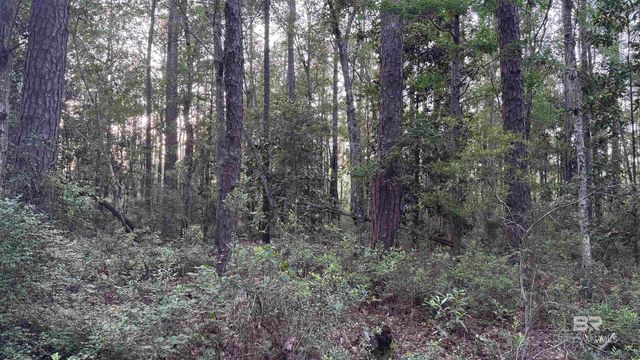 00 Highway 188, Mobile, AL 36523