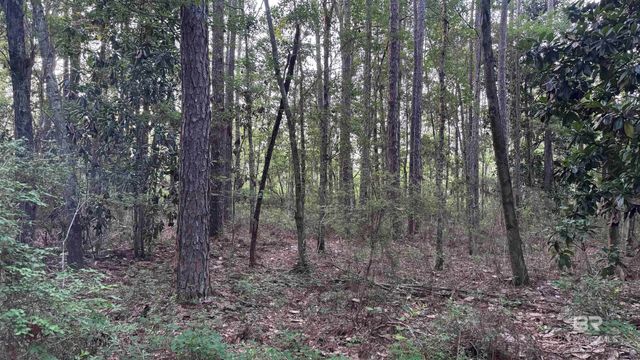 00 Highway 188, Mobile, AL 36523