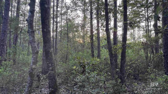 00 Highway 188, Mobile, AL 36523