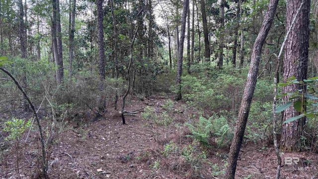 00 Highway 188, Mobile, AL 36523