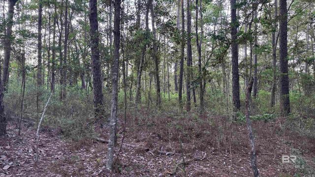 00 Highway 188, Mobile, AL 36523
