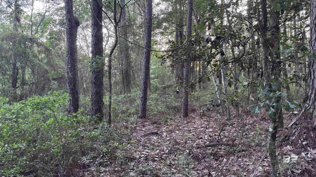 00 Highway 188, Mobile, AL 36523
