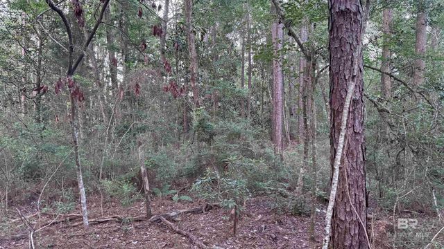 00 Highway 188, Mobile, AL 36523