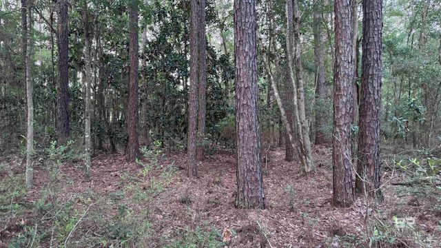00 Highway 188, Mobile, AL 36523