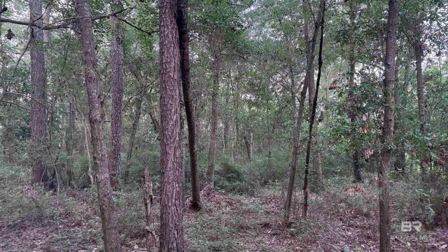 00 Highway 188, Mobile, AL 36523