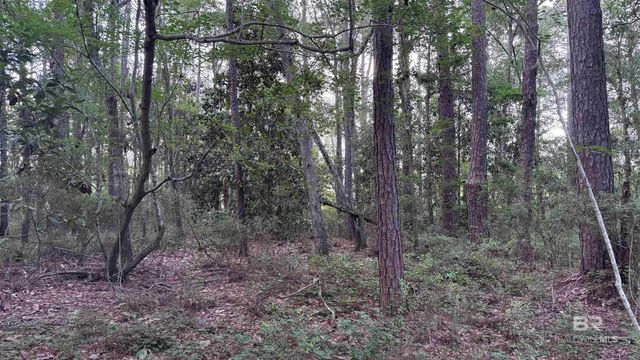 00 Highway 188, Mobile, AL 36523
