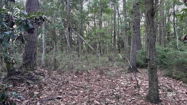 00 Highway 188, Mobile, AL 36523