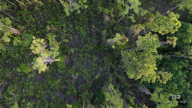 00 Highway 188, Mobile, AL 36523