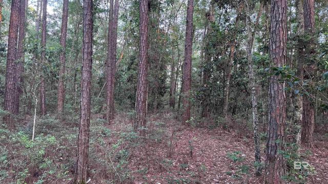 00 Highway 188, Mobile, AL 36523