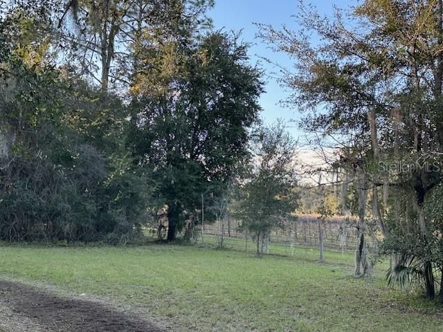 374 SISCO ROAD, Pomona Park, FL 32181