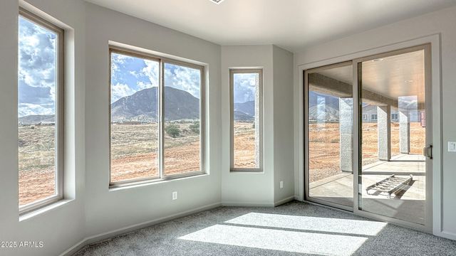 6953 E Vaquero Circle Lot 251, Hereford, AZ 85615