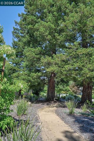 3136 Tice Creek Dr 5, Walnut Creek, CA 94595