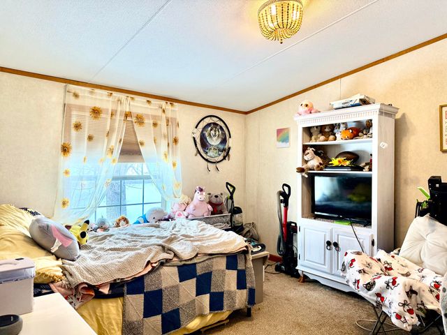 16 Gonyea Road, Altona, NY 12910