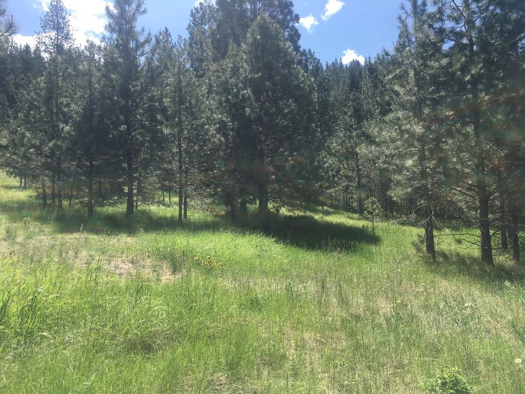 LOT 3 DEEMER RIDGE ROAD, PLAINS, MT 59859, PLAINS, MT Clearwater