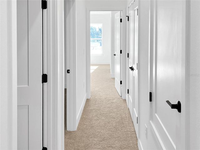 262 VERNY GROVE LANE, Leesburg, FL 34748