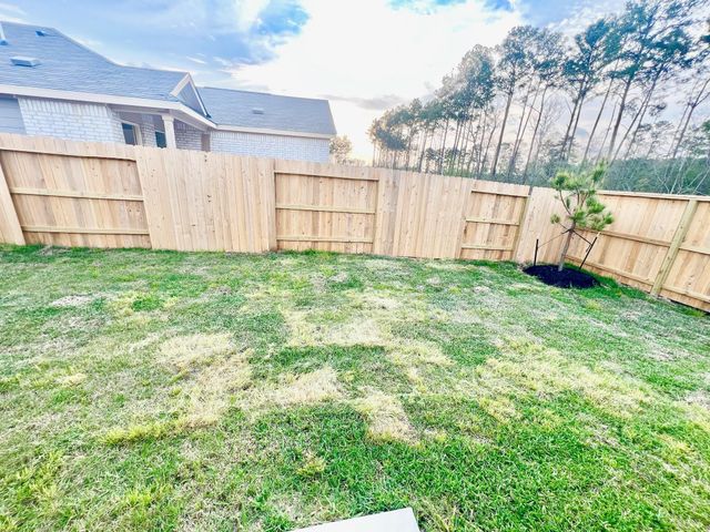 1376 Diamond Carnation Drive, Conroe, TX 77301