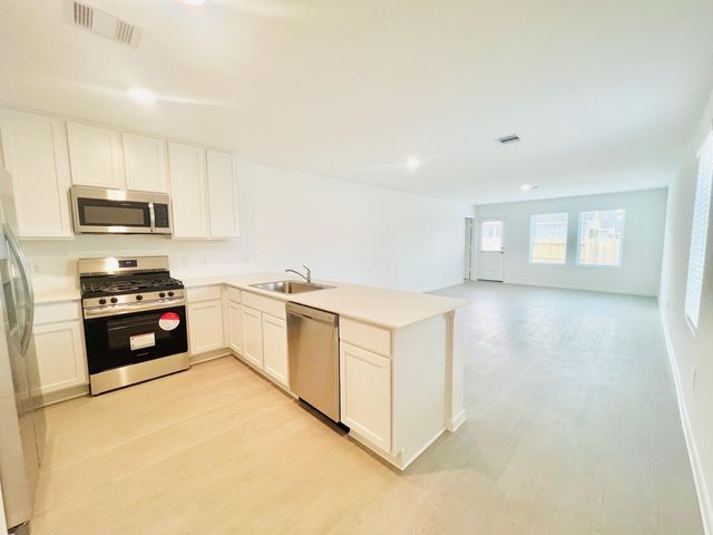 1376 Diamond Carnation Drive, Conroe, TX 77301